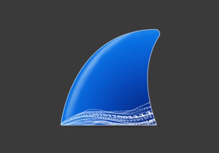 网络抓包工具 Wireshark v4.4.6 集成Nmap驱动库中文便携版-极客酷